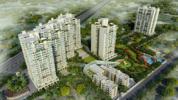 Pareena Coban Gurgaon