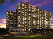 Pareena Coban Gurgaon