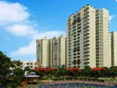 Pareena Coban Gurgaon