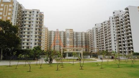 Tulip Ace Sector 89 Gurgaon