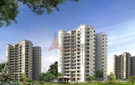 Tulip Purple Sector 69 Gurgaon
