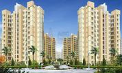 Orris Aster Court Sector 85 Gurgaon