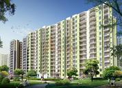 Orris Aster Court Sector 85 Gurgaon
