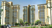 Ansal Heights 86